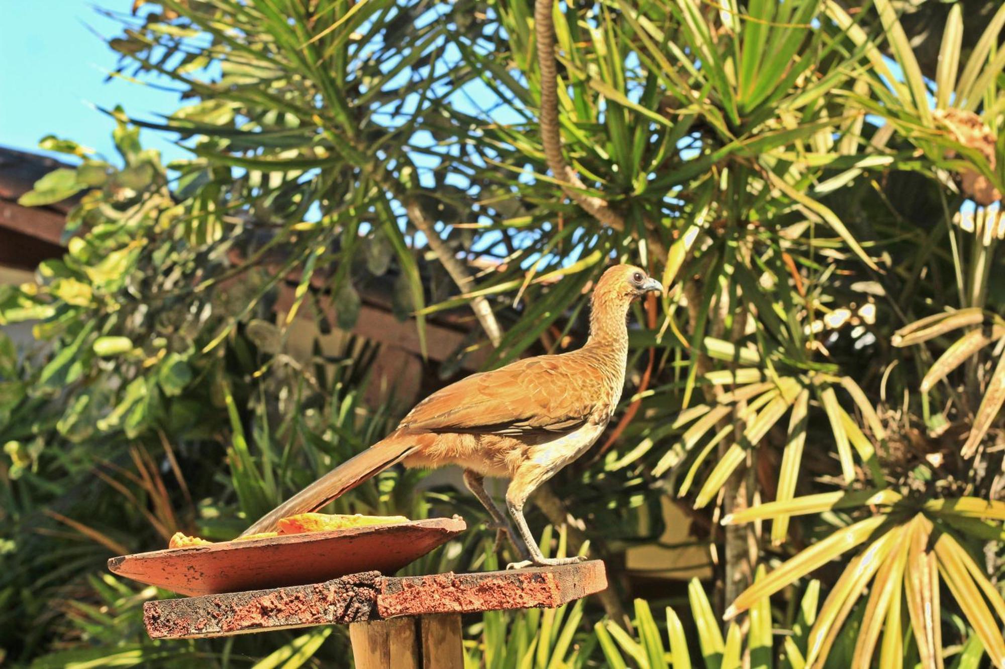 Pousada Fragata - Arraial D Ajuda - Melhor Localizacao E Atendimento Arraial d'Ajuda Экстерьер фото